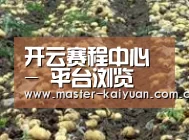种植基地七