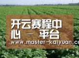 种植基地五