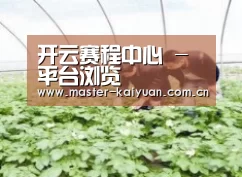 种植基地三