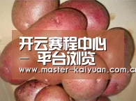 产品展示标题1