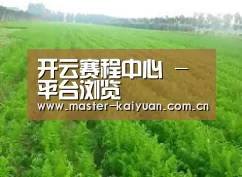种植基地四