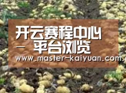 种植基地八(图1)