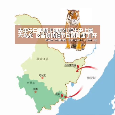 开云体育官网