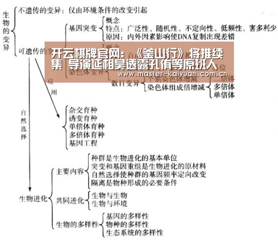 开云体育官网