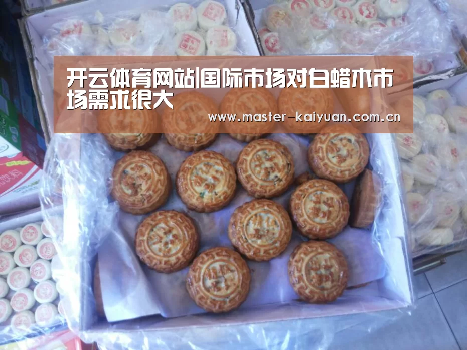 开云体育网站