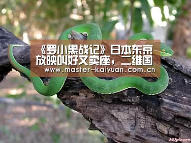 《罗小黑战记》日本东京放映叫好又卖座,二维国漫扬帆出海首战告捷-开元棋牌网址(图3) 开云棋牌官网