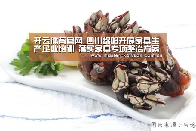 开云体育官网_四川绵阳开展家具生产企业培训 落实家具专项整治方案(图2) 开云棋牌官网