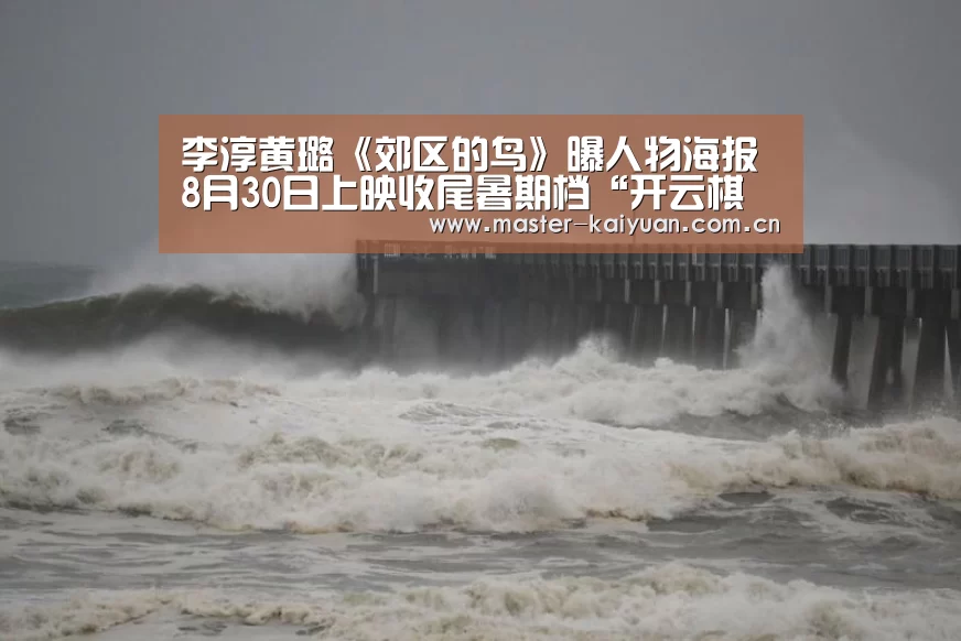 李淳黄璐《郊区的鸟》曝人物海报 8月30日上映收尾暑期档“开云棋牌官网”(图1) 开云体育官网