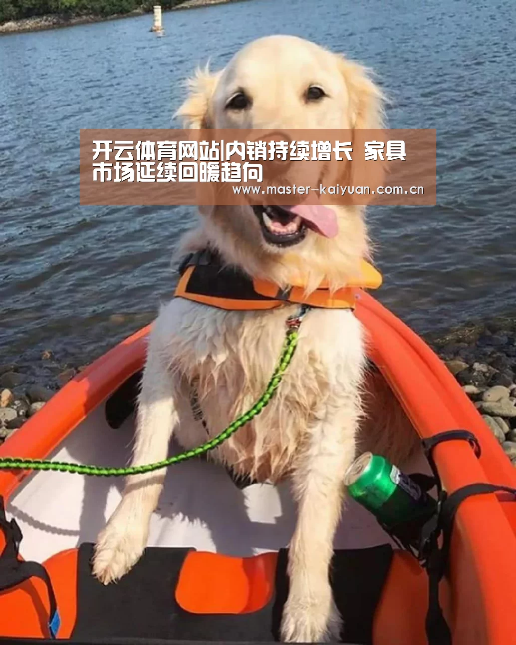 开云体育网站|内销持续增长 家具市场延续回暖趋向(图3) 开云体育官网