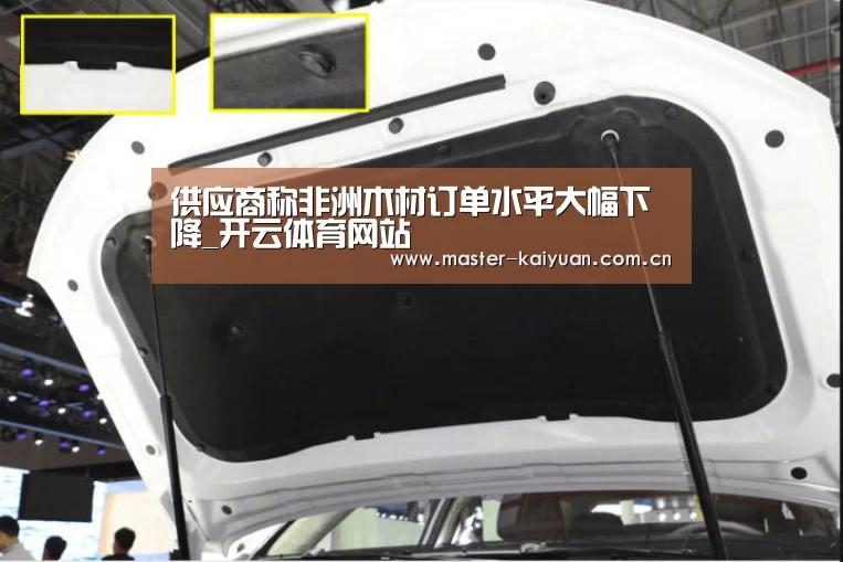 供应商称非洲木材订单水平大幅下降_开云体育网站(图1) 开云体育官网