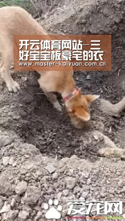 开云体育网站-三好宝宝板豪宅的衣帽间,可不是两排柜子那么简单!(图1) 开云体育官网