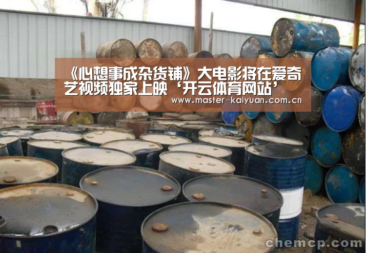 《心想事成杂货铺》大电影将在爱奇艺视频独家上映‘开云体育网站’(图1) 开元棋牌网址